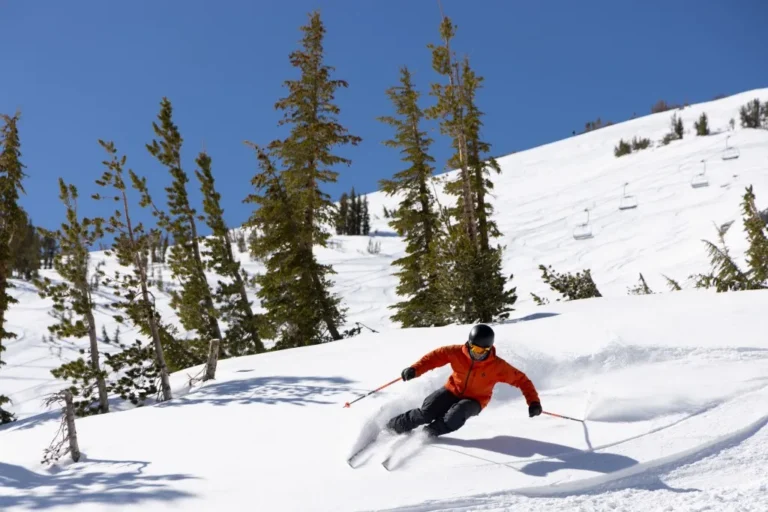 The Definitive Architecture of Performance: Best Ski Options for 2026